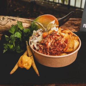 Pulled Chicken